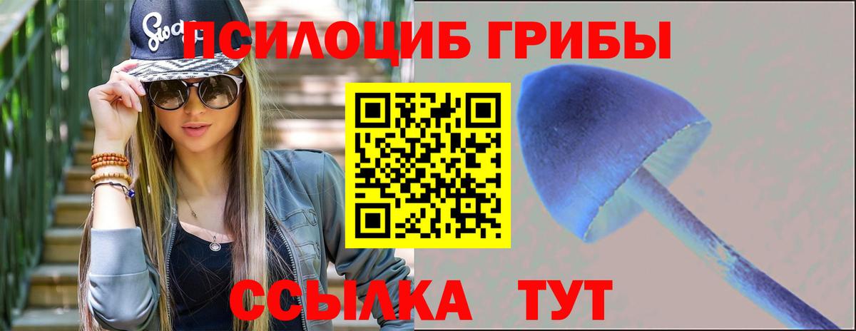 Псилоцибиновые грибы прущие грибы Кингисепп