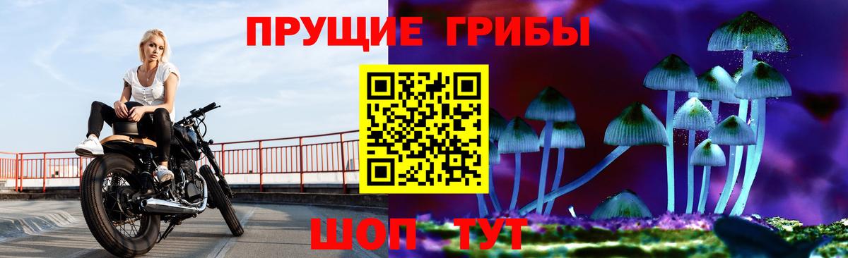 Галлюциногенные грибы мухоморы  купить наркотик  Кингисепп  Псилоцибиновые грибы Psilocybine cubensis  Вход с VPN 