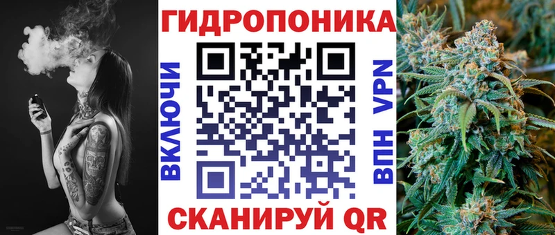 mega маркетплейс  Кингисепп  Бошки марихуана семена 